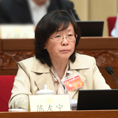 陈左宁:坚持自主创新补齐关键核心技术短板